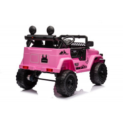 Autó akkumulátor Toyota FJ Pink